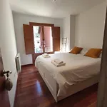 El Floc De Neu - *